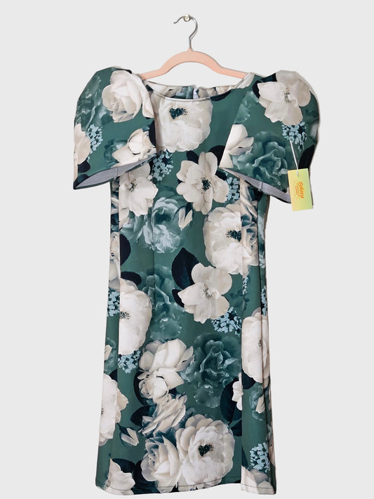 Filipiniana - First Lady Style Dress